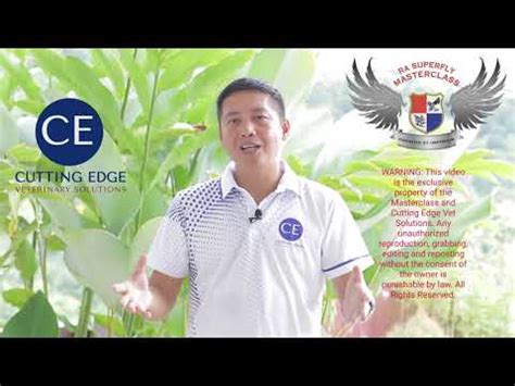 Usapang Sabong : Ang Tunay Na Sikreto Para Manalo ng Madalas.